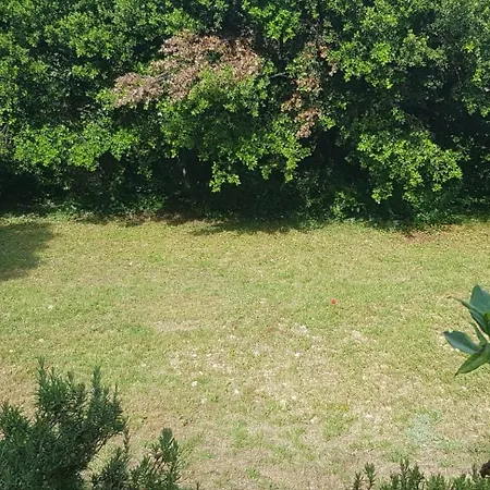 Belle Piscine Provence Uzes Climatisée *